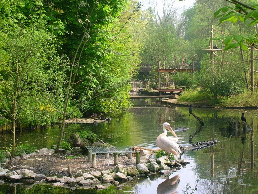 Zoo de Lille : le coup du payant