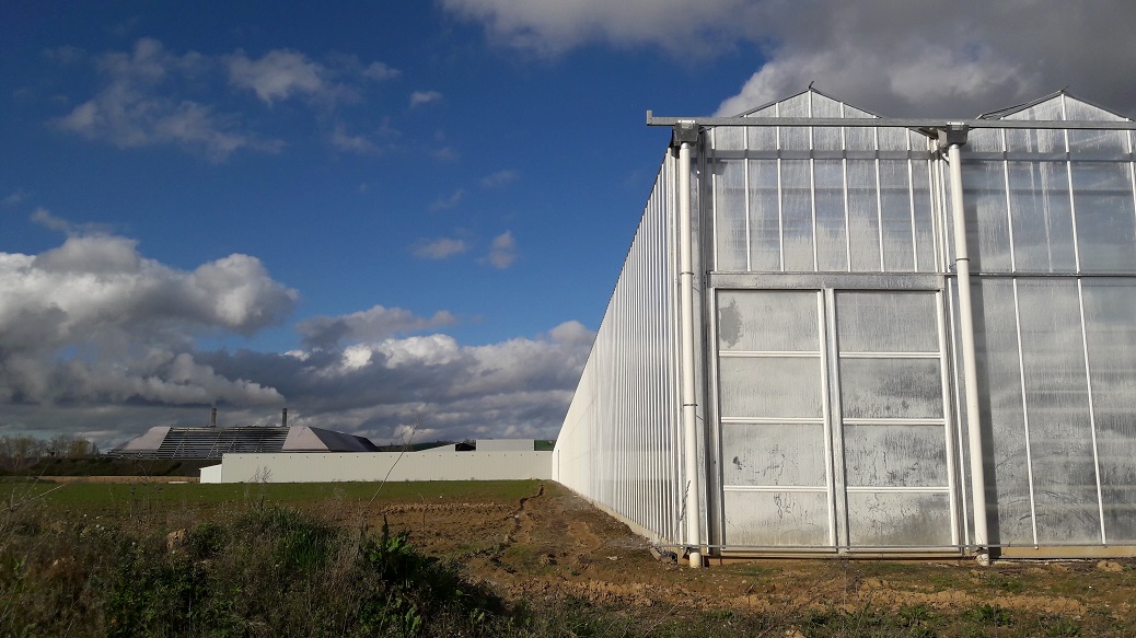 Les Serres de Bessières, immense usine à tomates au nord de Toulouse