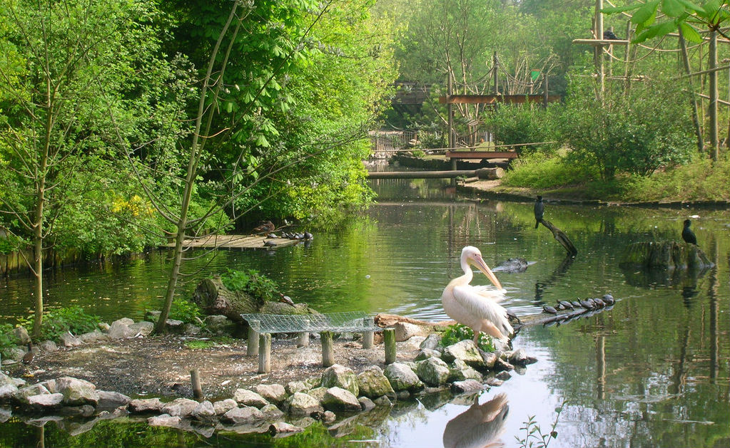 Zoo de Lille : Aubry repeint en rose le bilan du passage au payant