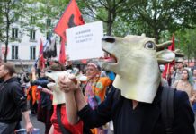 5th Edition Of The March For The Closing Of Slaughterhouses – Paris