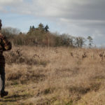 Joe Landron sur une friche du Muscadet