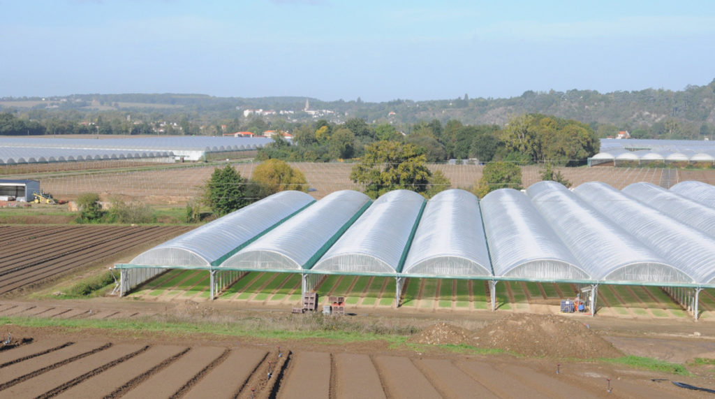 Près de Nantes et d’Angers, l’insatiable appétit de terres des maraîchers industriels