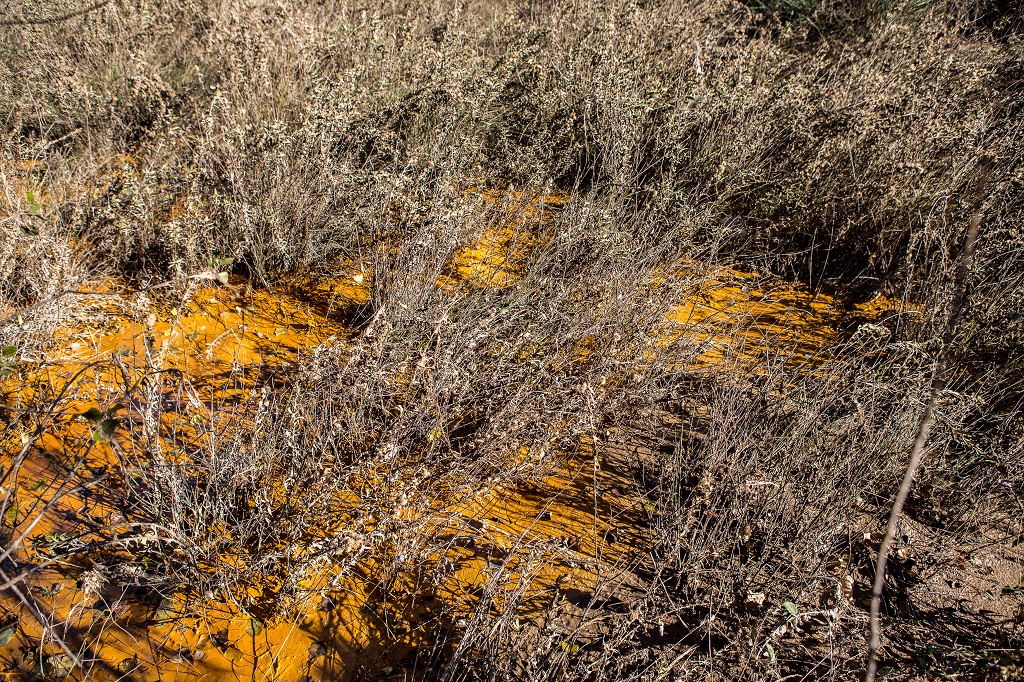 POLLUTION AND FLOODING