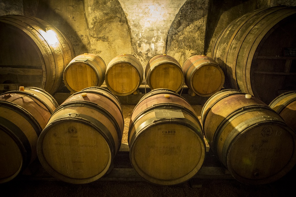 Tonneaux dans la cave du Château de Pravins. Blacé. Photo : Alberto Campi