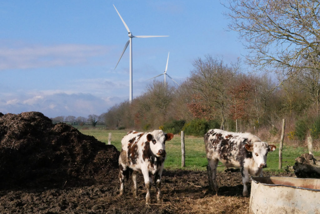 Santé : l’inquiétant mystère des éoliennes de Nozay