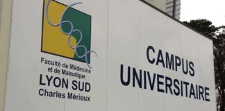 campus Lyon Sud