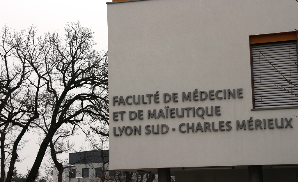 Faculté De Medecine Et De Maïeutique Lyon Sud Charles Mérieux