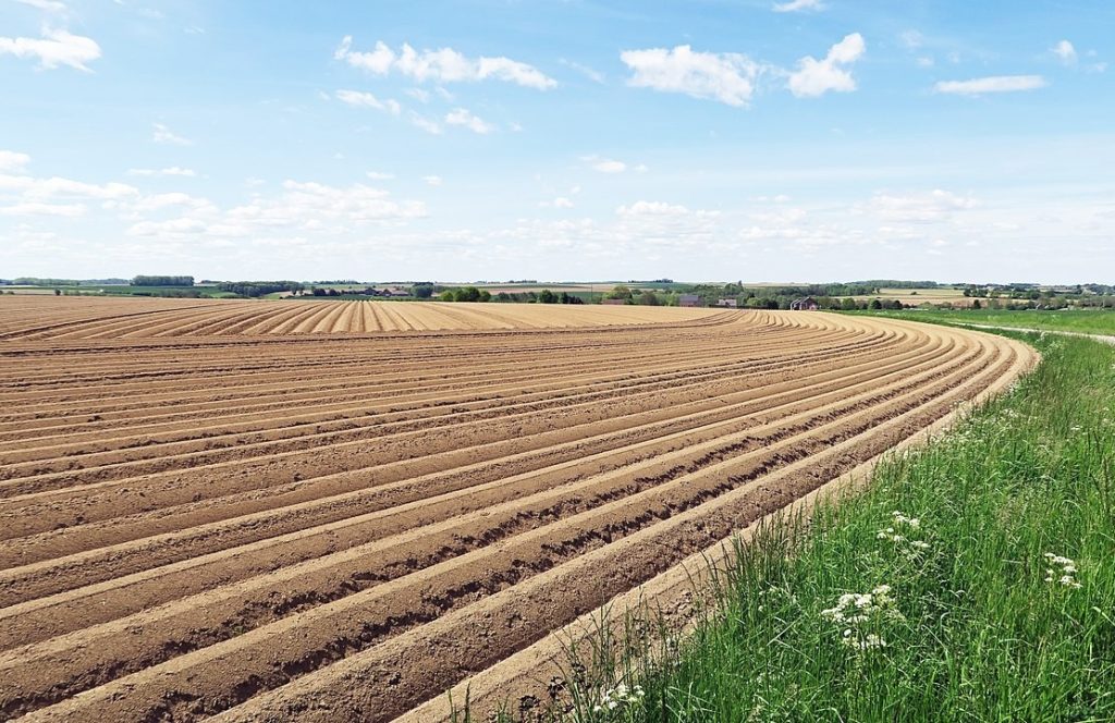 Où en est la traque des patatiers pollueurs des Hauts‐de‐France ?