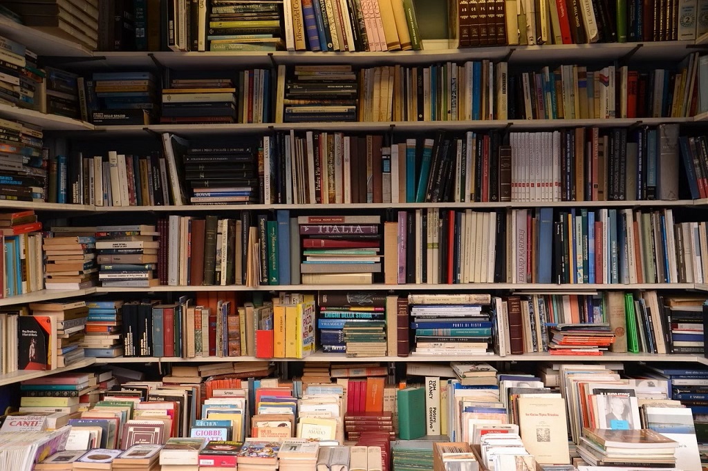L’avenir des librairies indépendantes sera politique plus que numérique