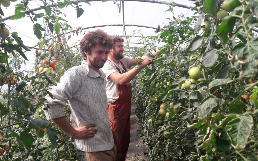 Appui à la transition des agriculteurs vers le bio