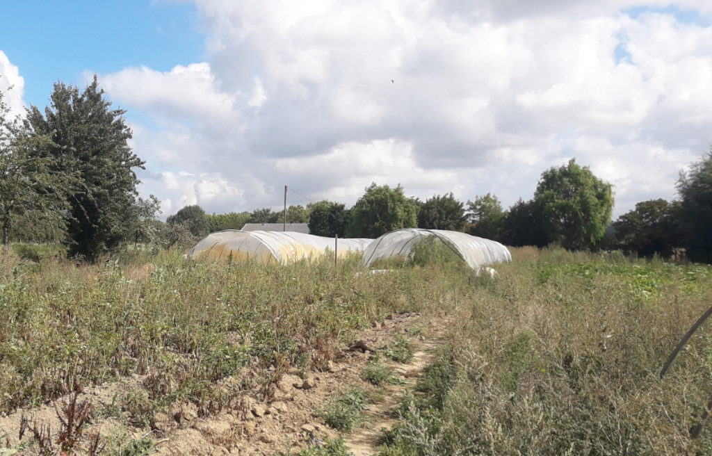 Le pas‐de‐porte, ce dessous‐de‐table qui empoisonne l’agriculture nordiste