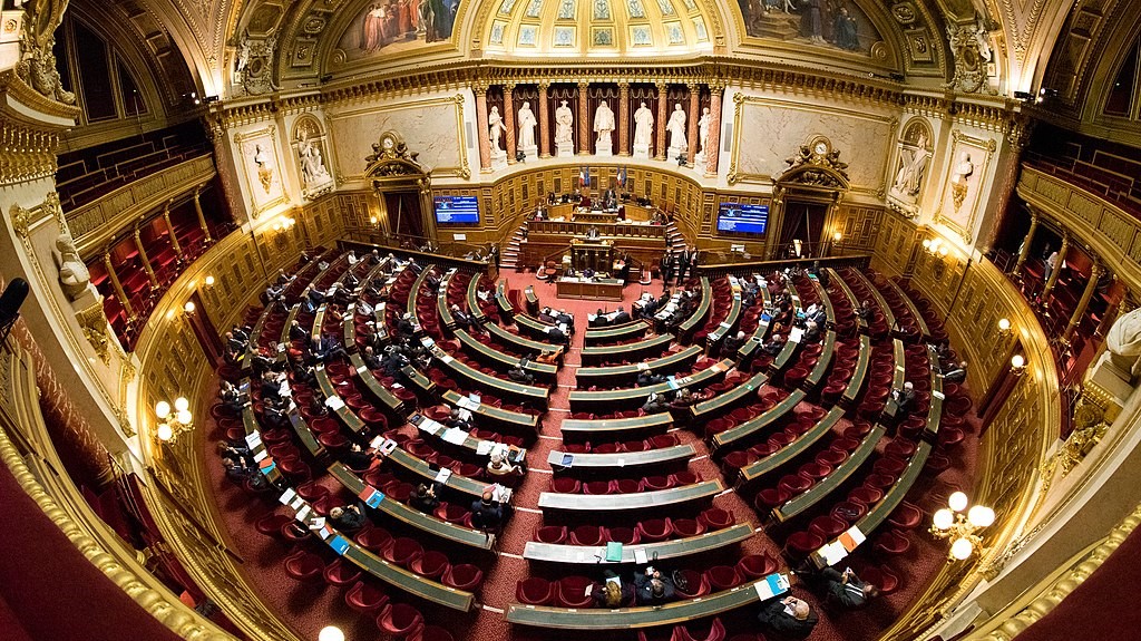 senat