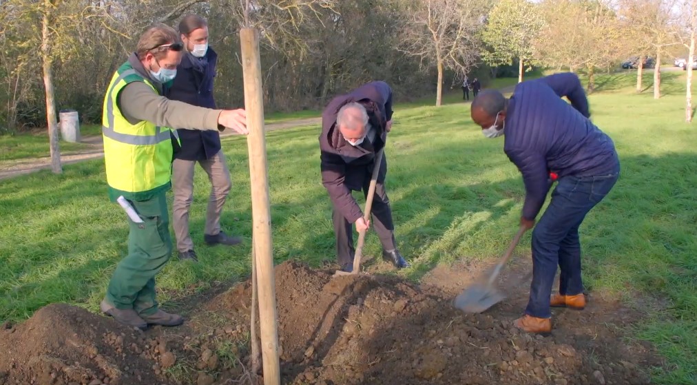 Un tiers des 100 000 arbres de Moudenc viendront du privé