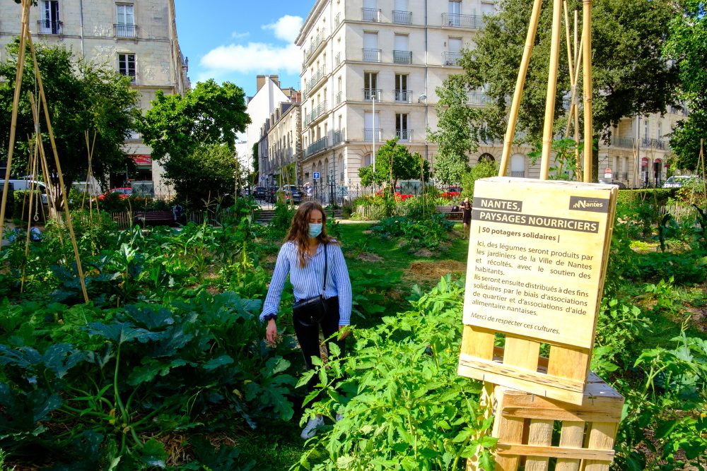 « Renaturer » les villes, une voie prometteuse pour s’adapter au changement climatique