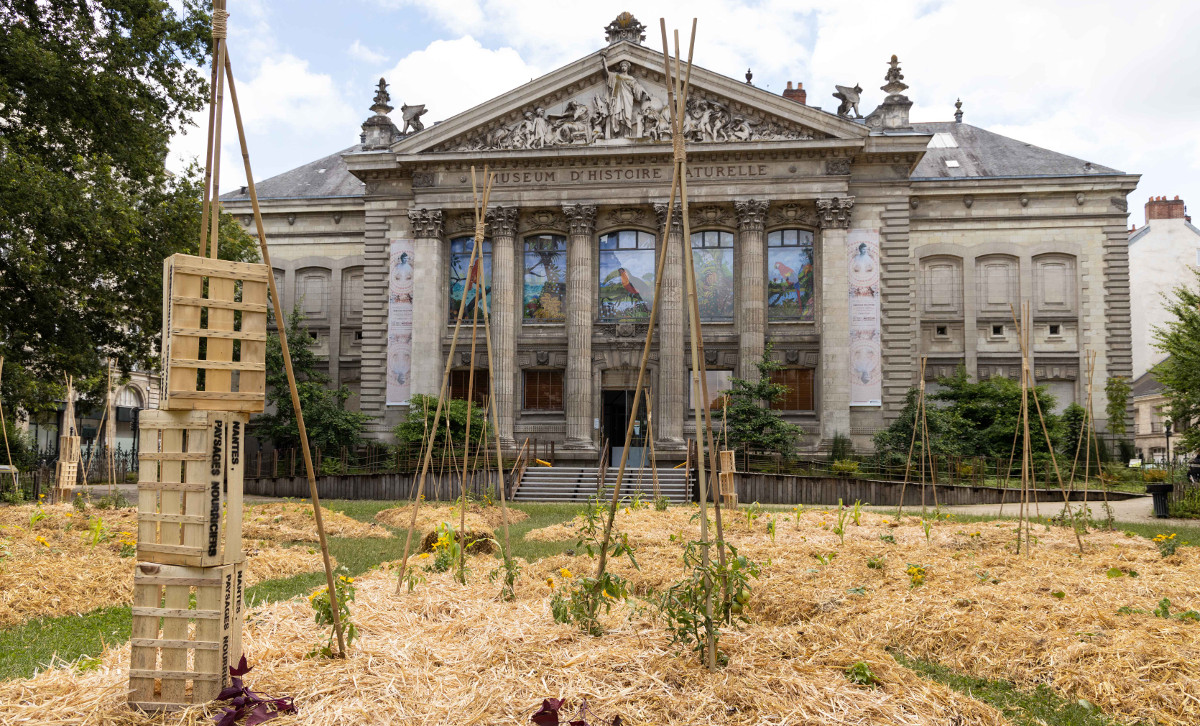 Les potagers urbains nantais, premier pas timide vers la « résilience » alimentaire