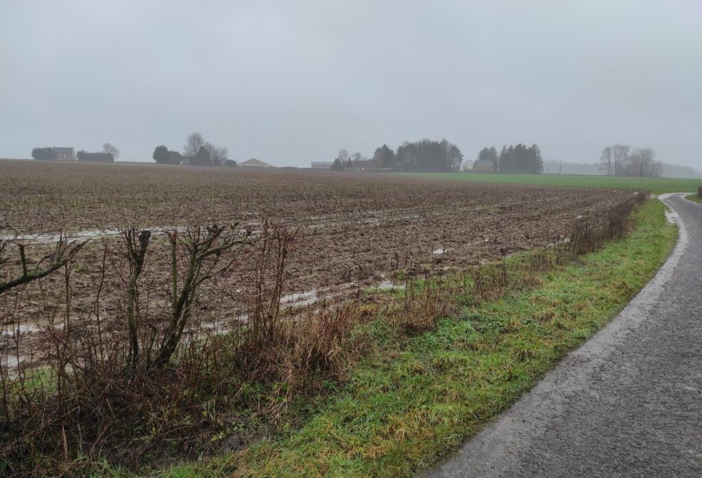 Hauts‐de‐France : l’Avesnois se rebiffe contre l’invasion des patatiers