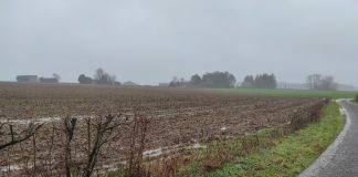 Avesnois