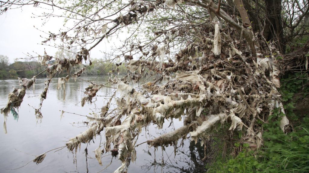 D’où vient la marée de déchets plastiques qui souille les berges de la Garonne ?