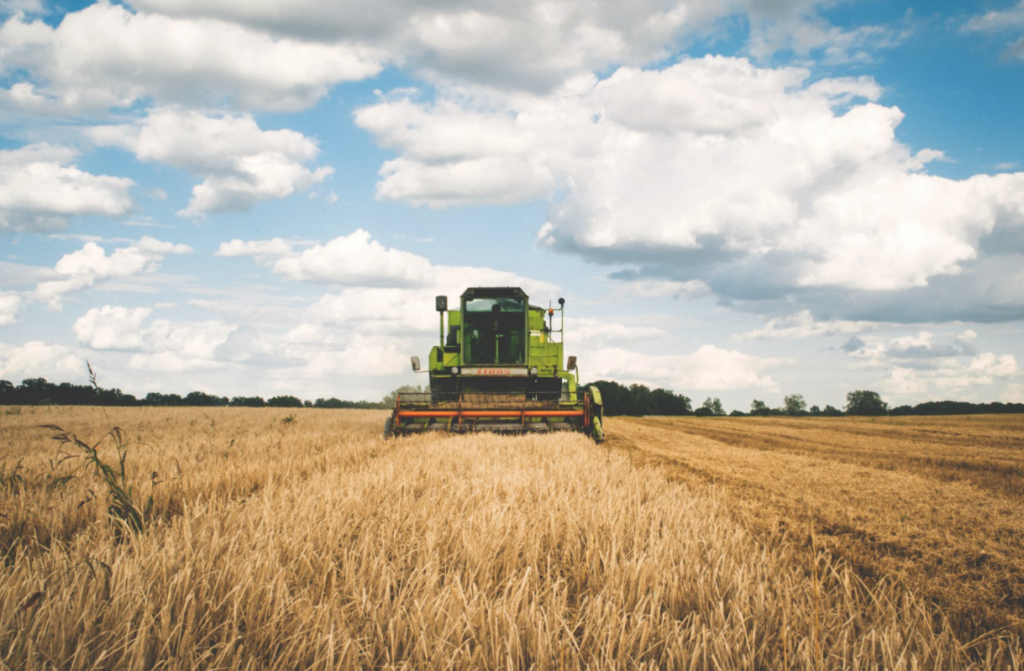 Agriculture bio dans les Hauts‐de‐France : un retard qui interroge