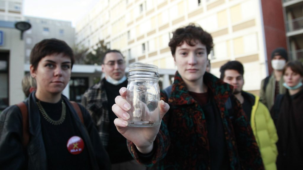 Dans une résidence du Crous à Toulouse, les étudiants cohabitent avec les cafards