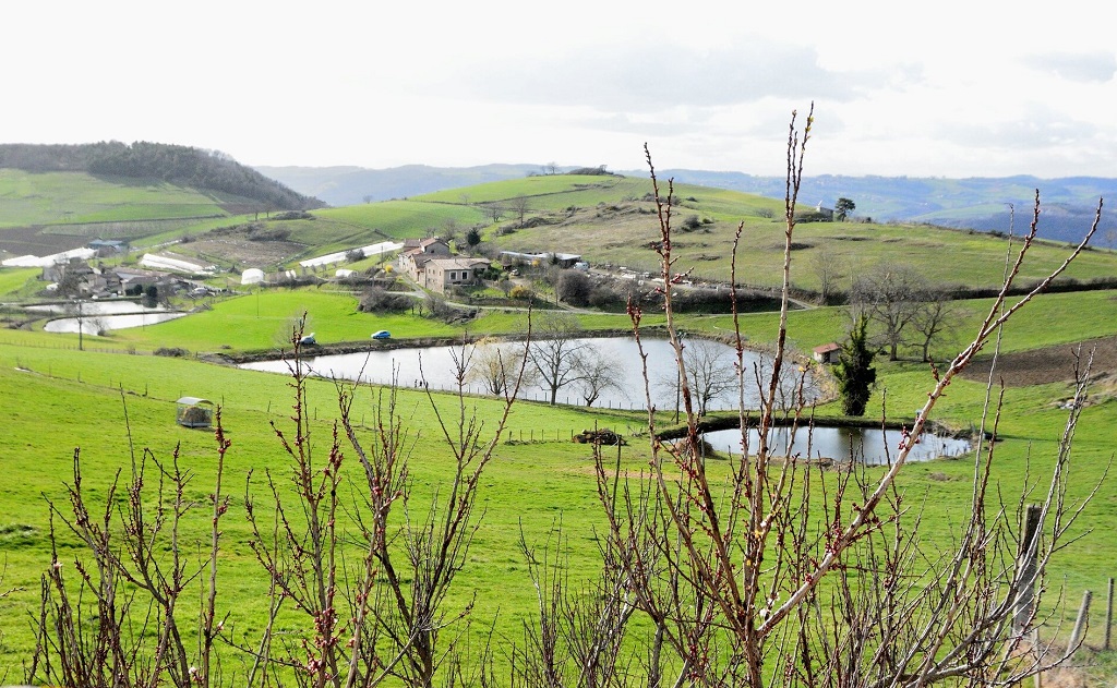 Les sécheresses à répétition mettent à sec les agriculteurs des Monts du Lyonnais