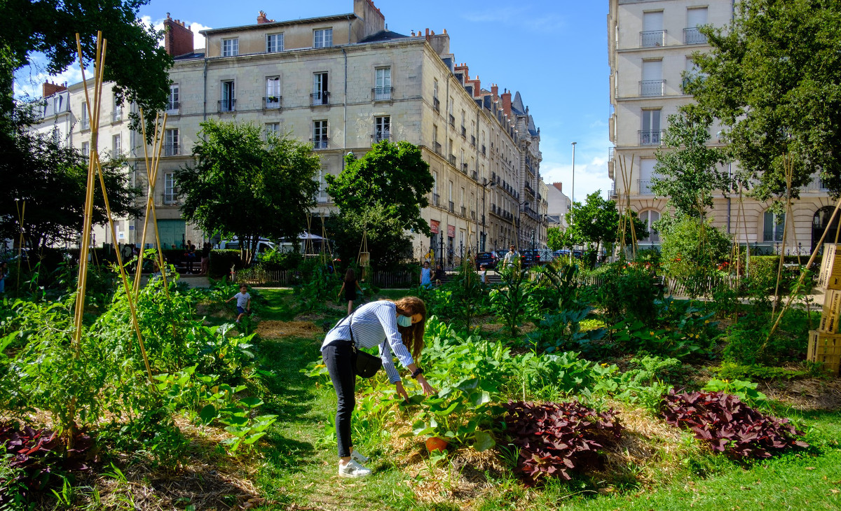 Sous les potagers nantais, la délicate question des sols contaminés