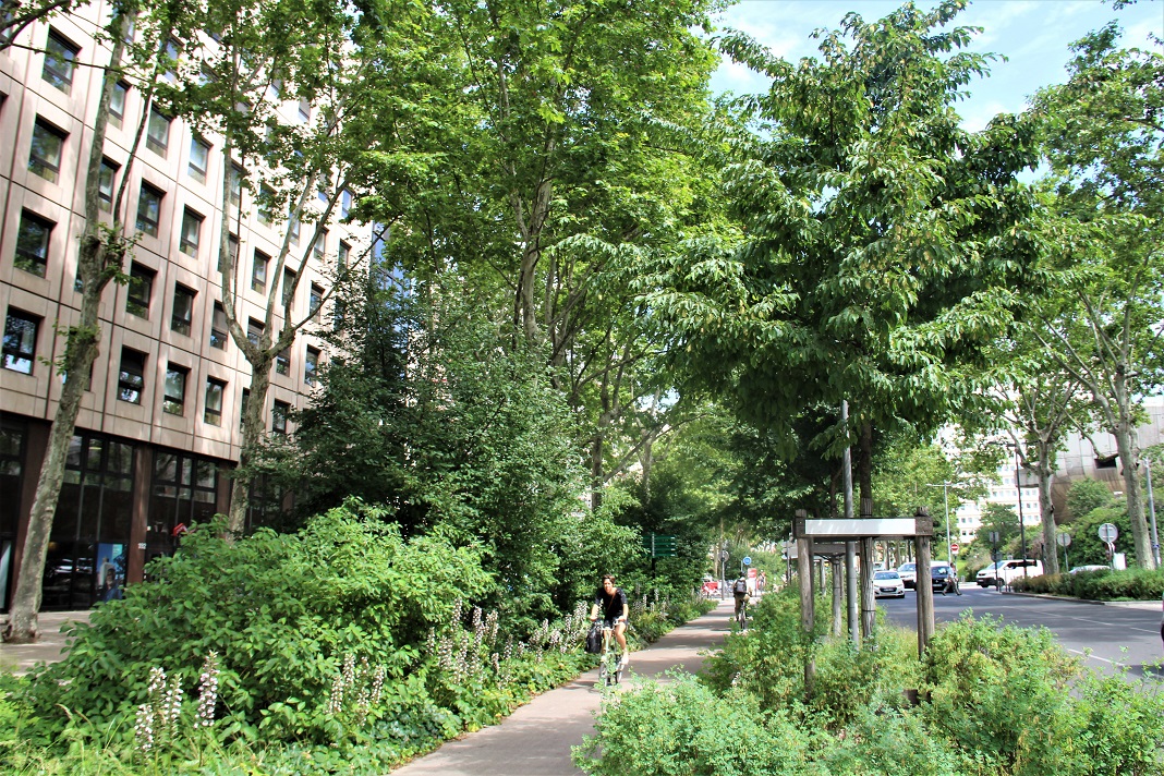 « En densifiant nos villes, sommes‐nous en train de sacrifier nos derniers espaces de nature ? »