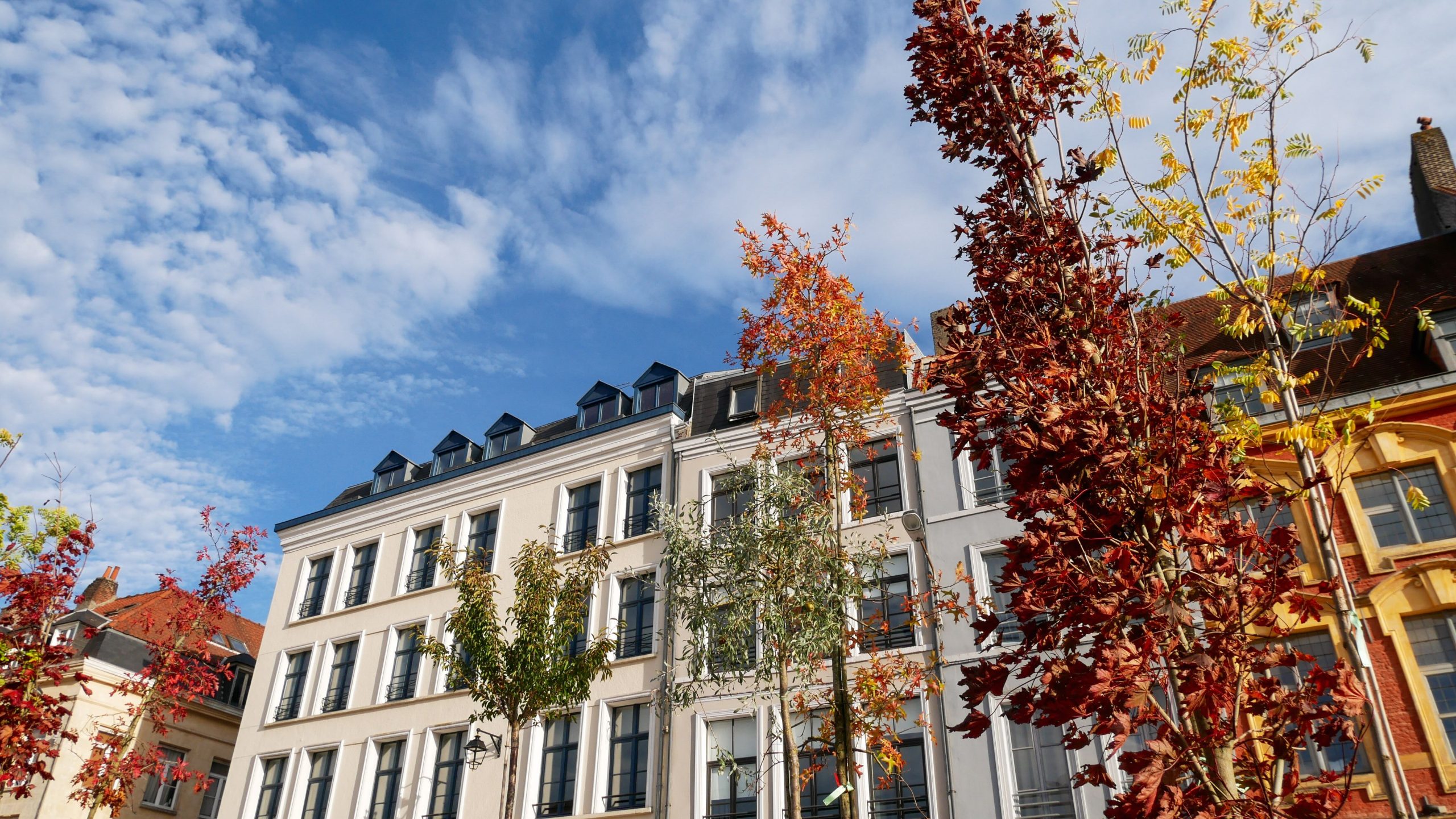 À Lille, le difficile combat contre les excès d’Airbnb