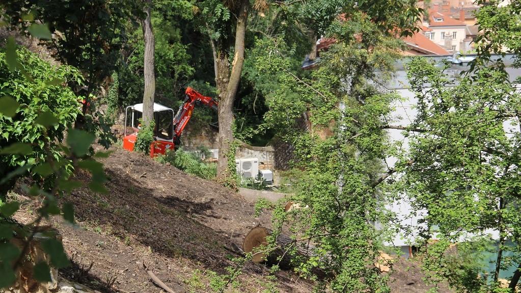 Sur la colline de Fourvière, un nouvel arbre condamné chez le patron du promoteur immobilier 6e Sens