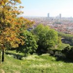 2022-04-Arbres-Ville-Nature-Lyon