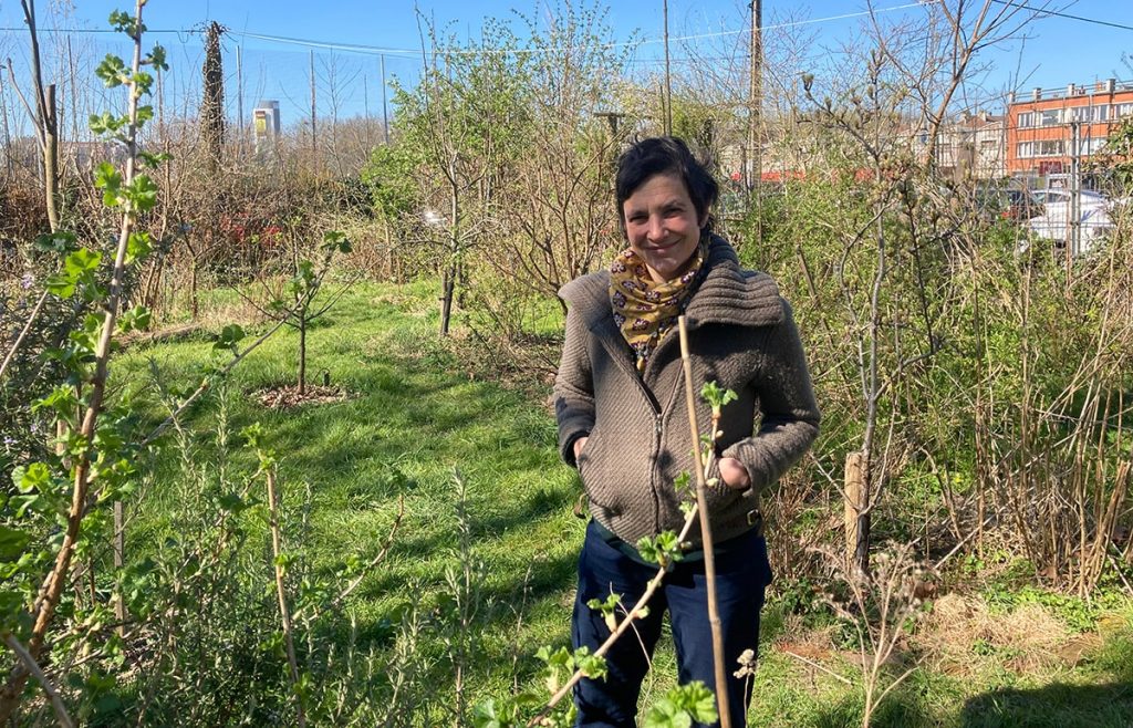 Lille : avec le départ des Saprophytes, la fin programmée d’une joyeuse utopie paysagère