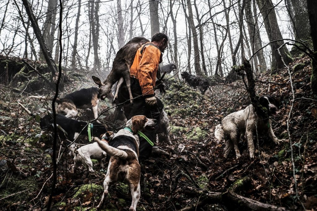 Laurent Wauquiez sort une nouvelle fois le carnet de chèques pour les chasseurs