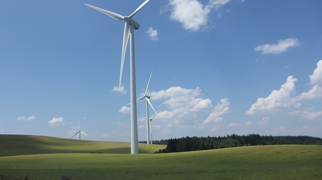 Éoliennes versus protection de la biodiversité : en Occitanie, le dilemme s’intensifie