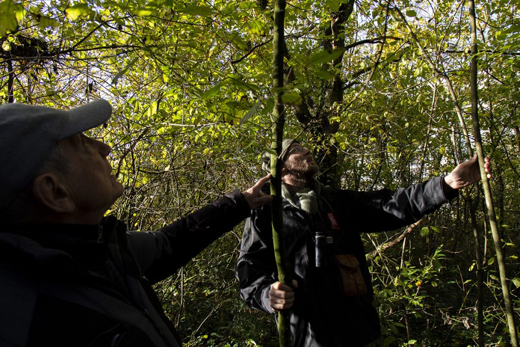 Une forêt interdite en plein cœur de Lille