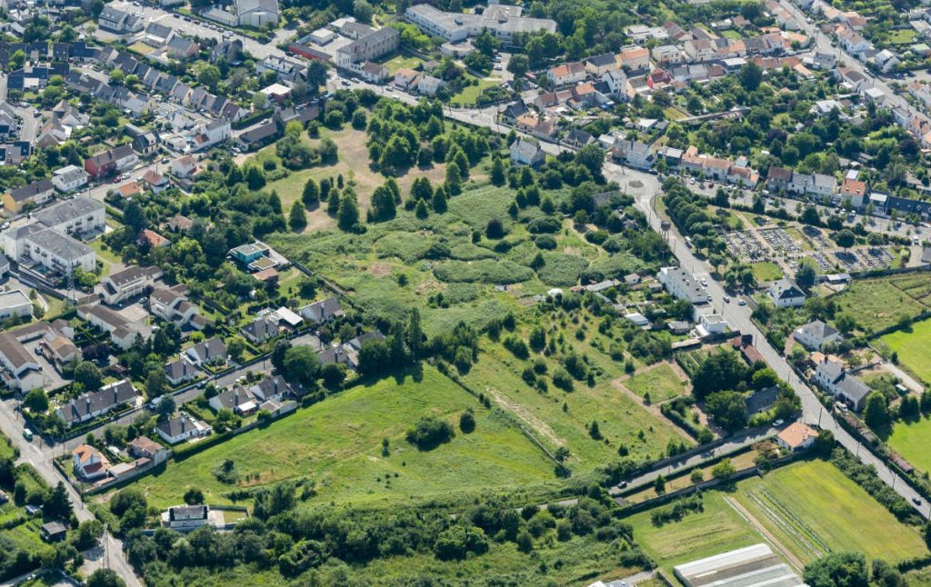 Doulon‐Gohards : arrachage des arbres et recours en référé contre le projet urbain