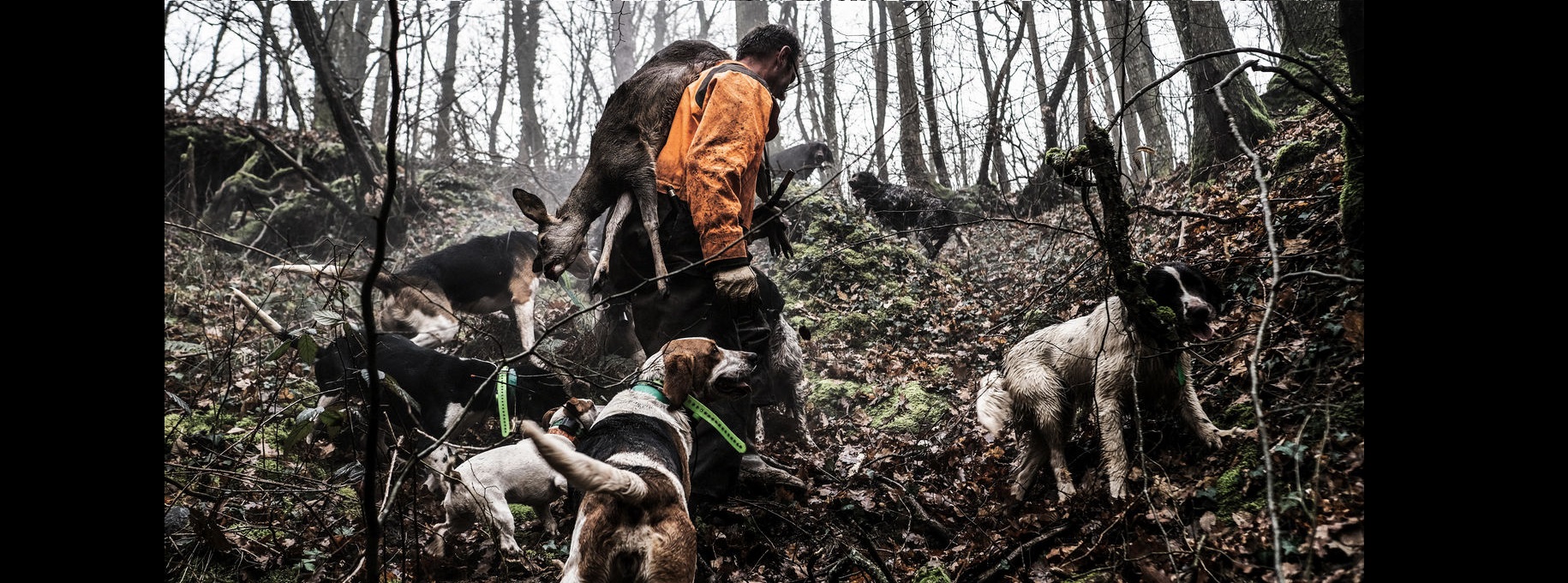 Chasse, pêche, nature et subventions