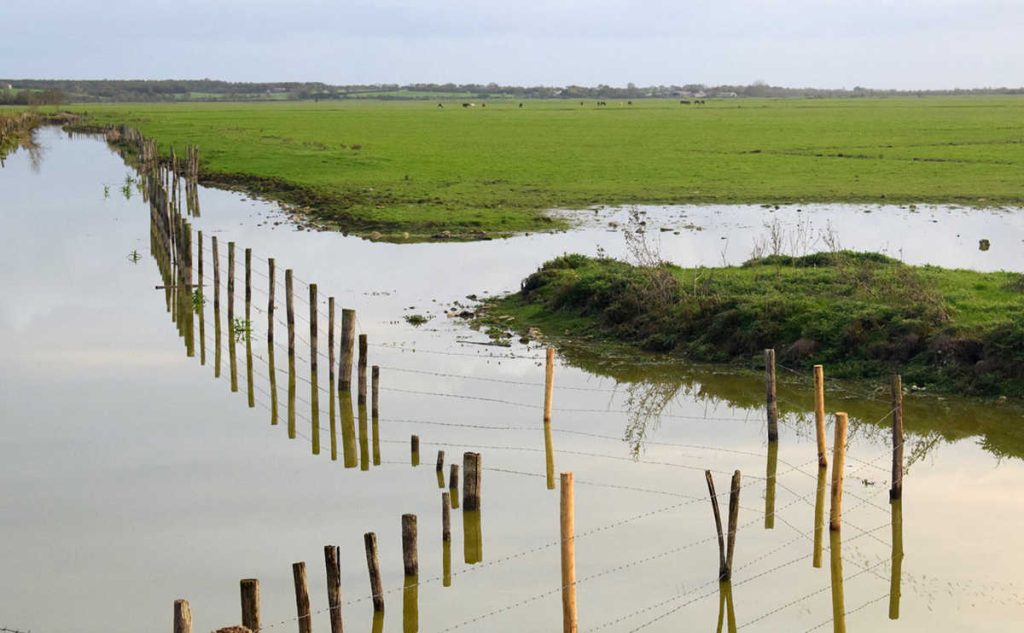 Guerre de l’eau : en Vendée, les bassines divisent doucement le monde rural