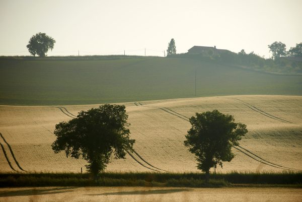 Ces paysages et lieux de vie qui disparaîtront sous l’autoroute A69 Toulouse‐Castres