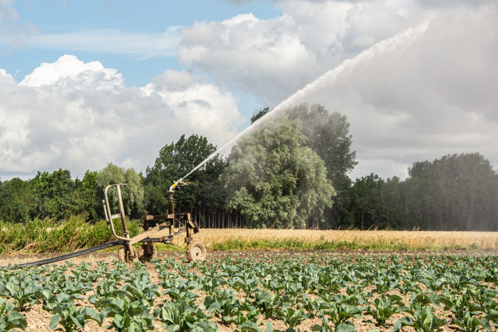 David Courcol, agriculteur près de Lille : « Passer à l’irrigation en goutte à goutte ? Ce serait me tirer une balle dans le pied »