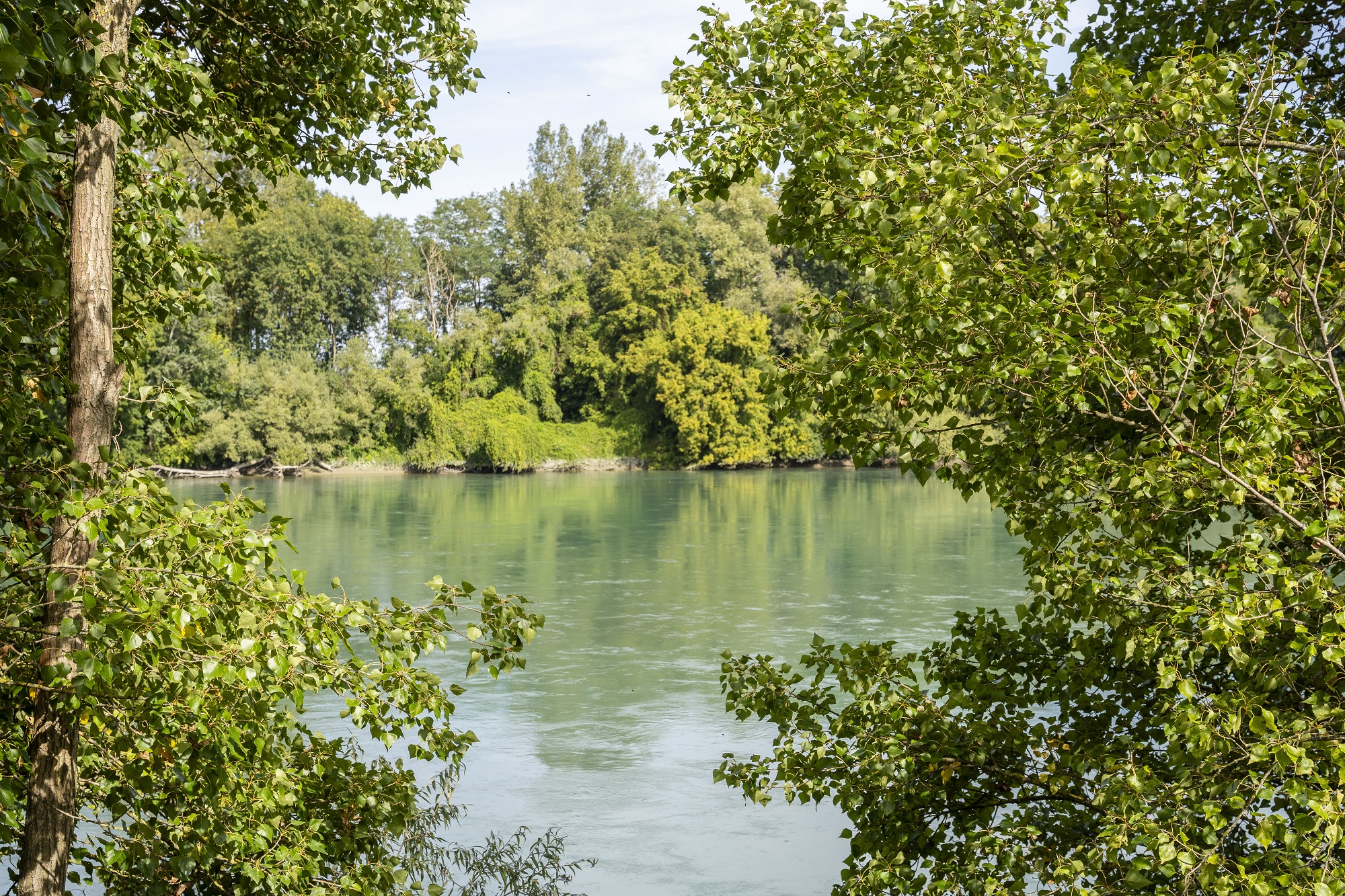 FRANCE – REPORTAGE ABOUT THE NEW DAM PROJECT ON RHONE RIVER BY CNR BETWEEN SAINT ROMAIN DE JALIONAS (ISERE) AND LOYETTES (AIN)