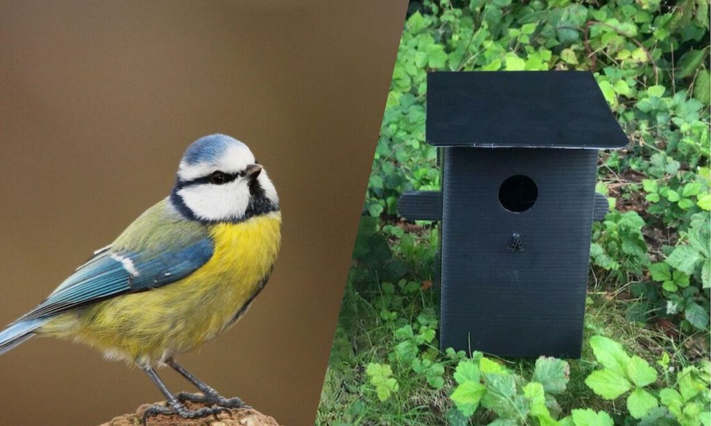 Financés sur fonds publics, les nichoirs en plastique des chasseurs des Hauts‐de‐France font polémique