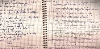 Cahiers de doléances des Gilets jaunes : l’horizon d’une publication s’éloigne à nouveau Doleances – Oeil