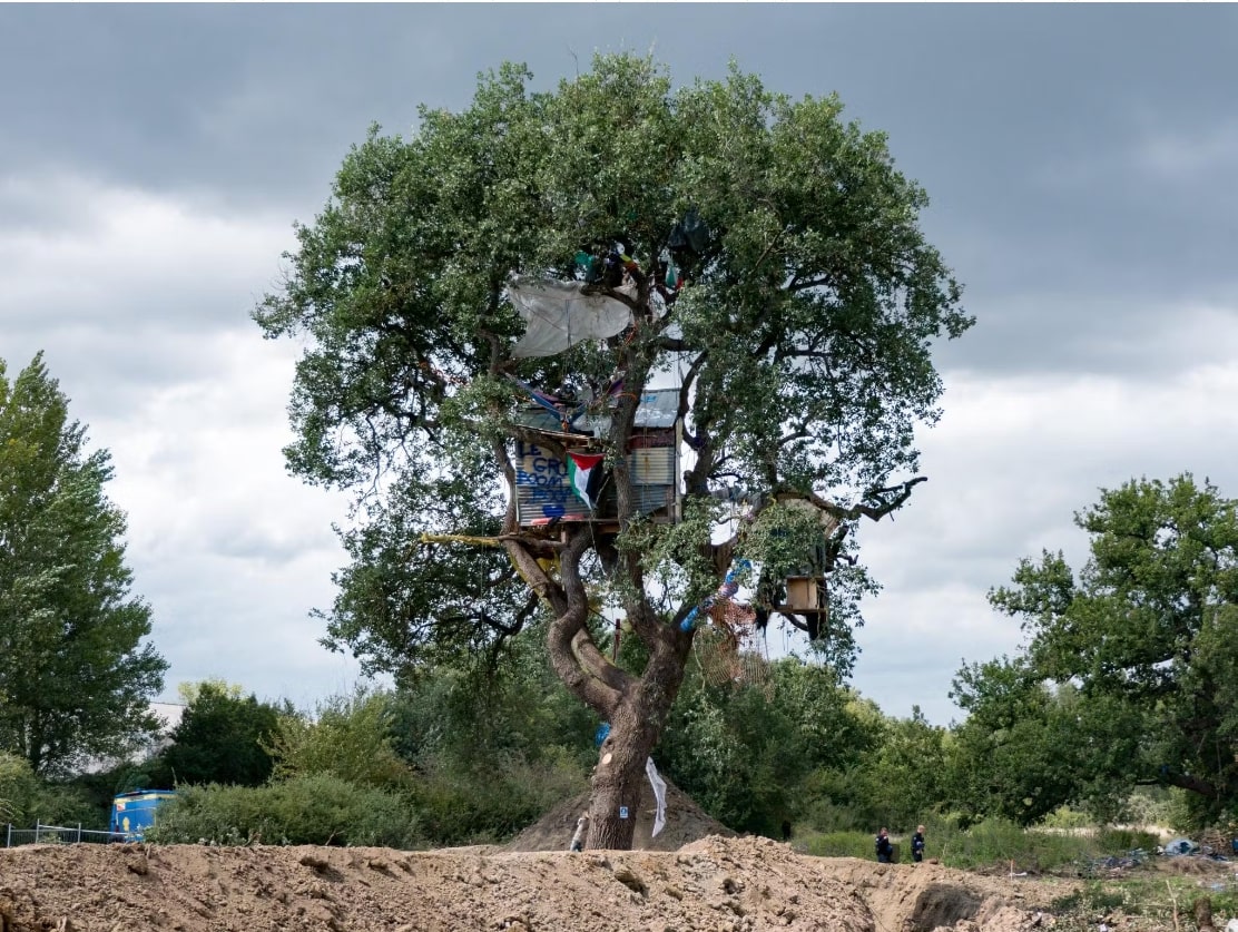 ZAD arbre