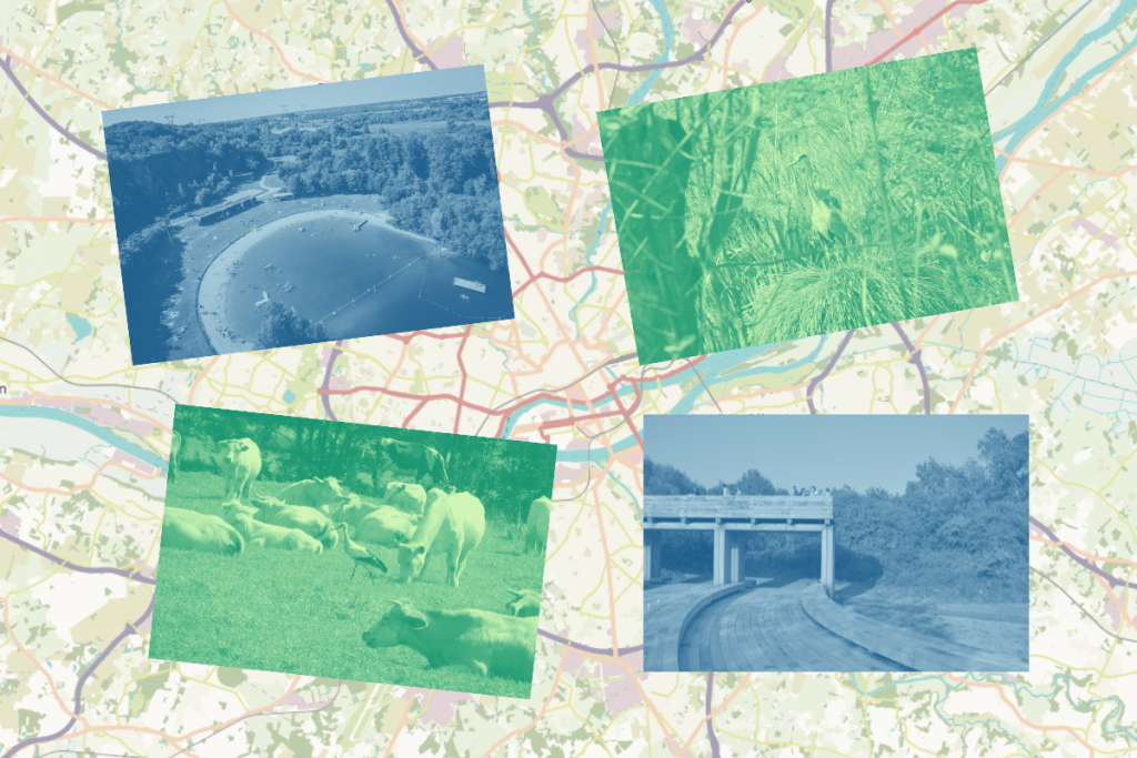 Les oasis de biodiversité à Nantes et aux alentours
