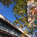 Collège Marengo : l’enquête administrative est terminée