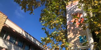 2025_novembre_Toulouse_Collège Marengo