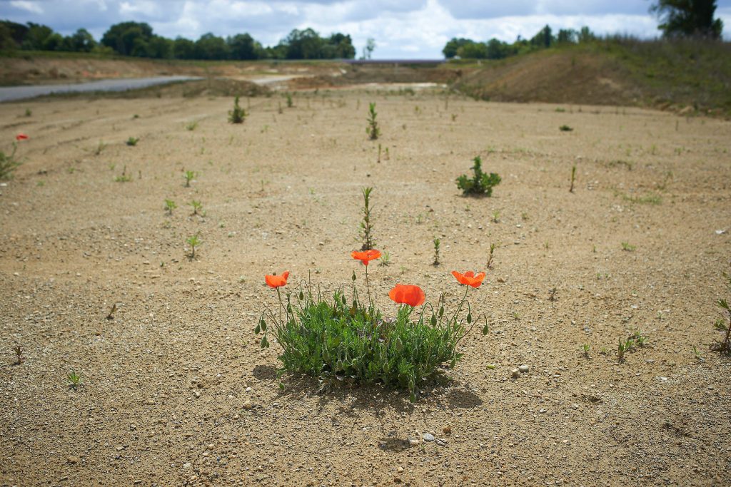 A69&nbsp;: une indemnité de 100 millions d’euros pour Atosca