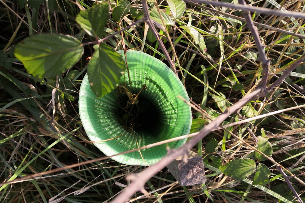 Les limites du plan 100 000 arbres de Jean‐Luc Moudenc