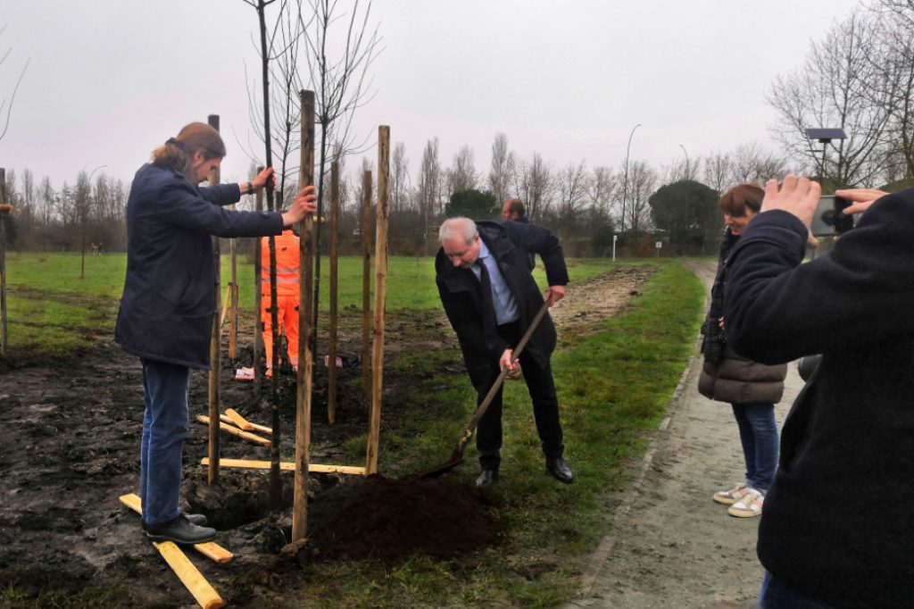 Plan 100 000 arbres&nbsp;: Des plantations massives dans des lieux bien ciblés