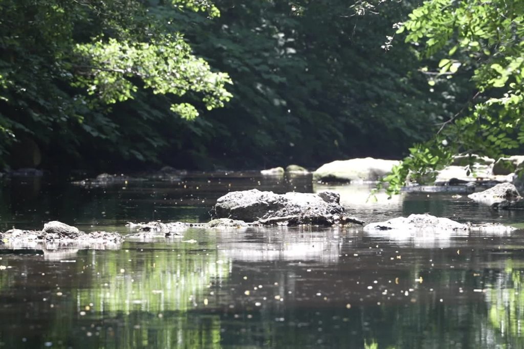 Des métaux dans les rivières&nbsp;: derrière la réouverture des mines du Beaujolais, des risques de pollution sous‐estimés